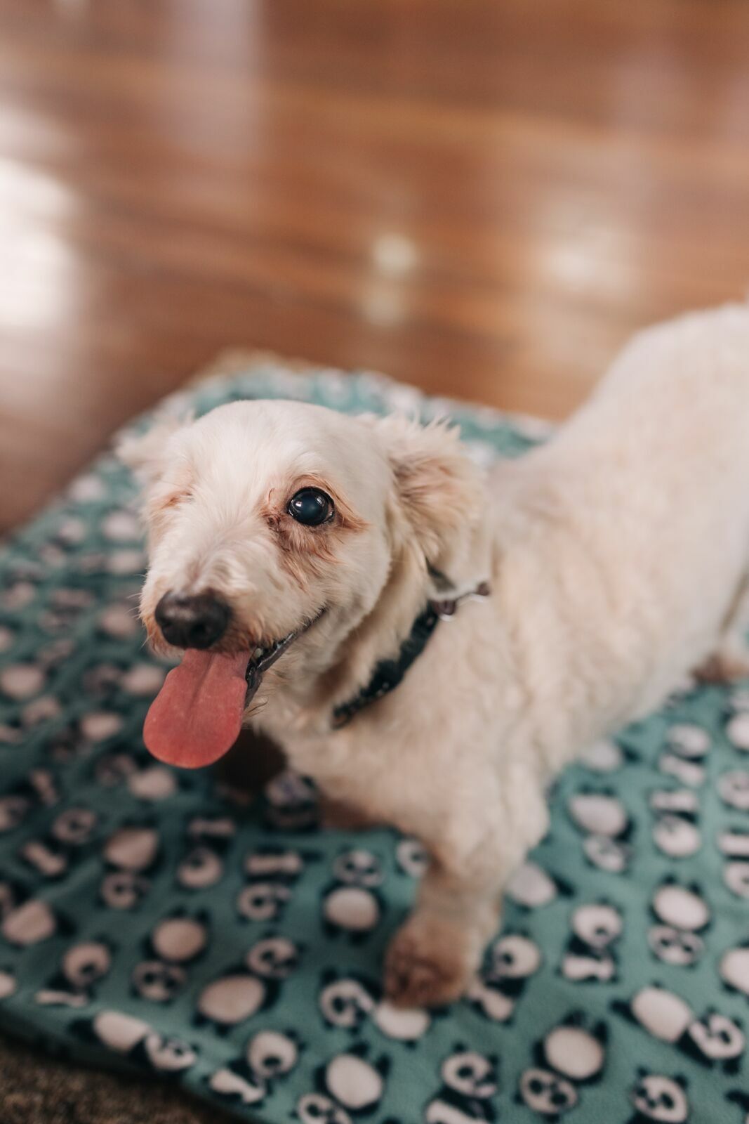 Foto Casamento na Fazenda - Imagem 0