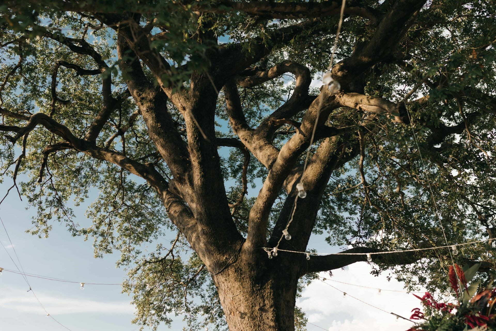 Foto Casamento na Fazenda - Imagem 73