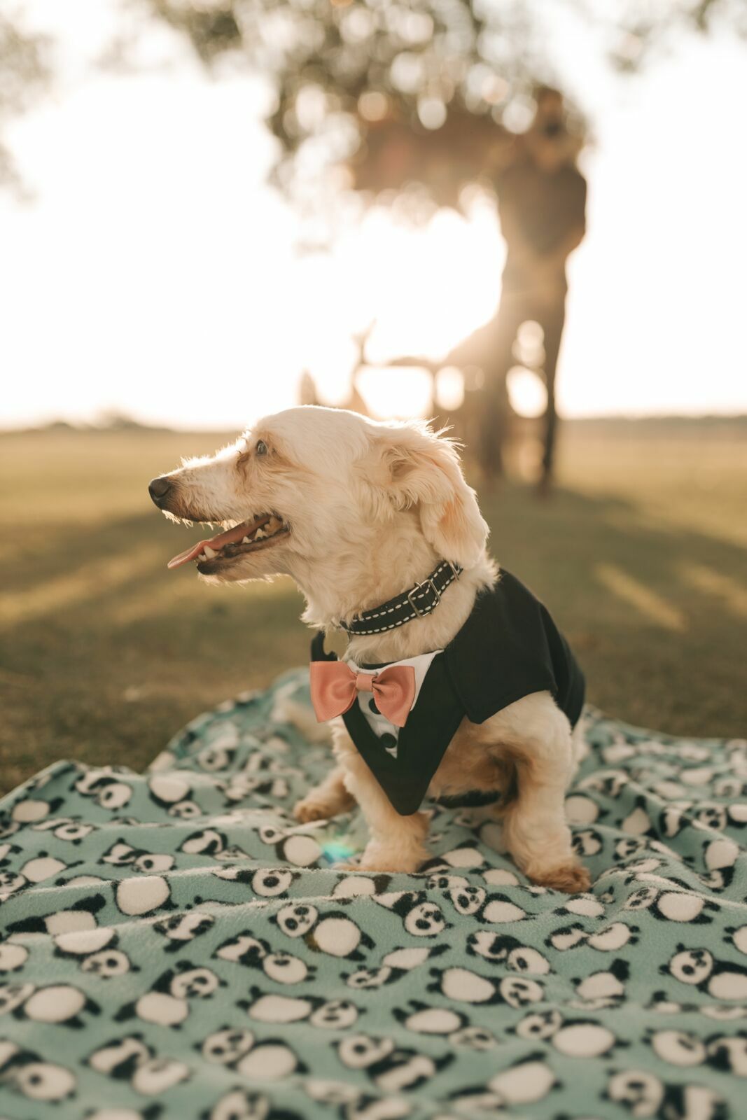 Foto Casamento na Fazenda - Imagem 116